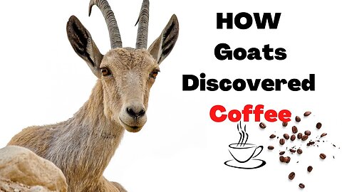 10 Unbelievable FACTS About Goats You Are Not Aware