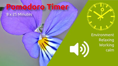 Pomodoro Timer 4 x 25min ~ music for relaxing, working