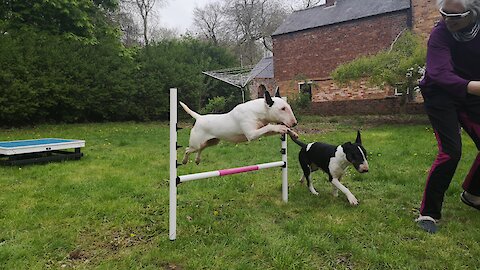 Crazy girls, mum and daughter causing chaos