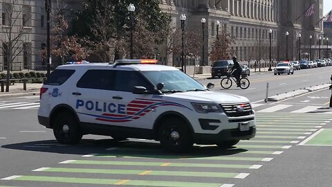 A Spring walk in D.C. around George Washington Univ. with flowers, some dogs, and Biden's motorcade.