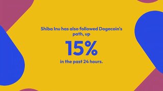 Dogecoin and Shiba Inu Coin course outperform Bitcoin