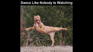 Dance Like No One Is Watching!