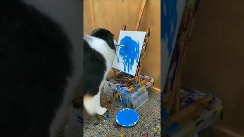 Dog paints 🎨 #shorts#youtubeshorts#like#share#comment#subscribe#cats#dogs#pets#cute#funny#petlovers
