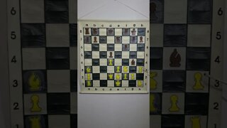 Chess Blooper 9