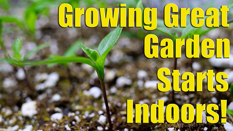 Growing Hundreds Of Garden Starts From Seed Indoors (Part 1 | Seed To Germination)