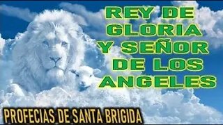 SANTA BRIGIDA REY DE LA GLORIA Y SEÑOR DE LOS ANGELES CAPITULO 4