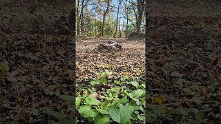 Outcast 8s Exb Rips The Leaves #arrmaoutcast