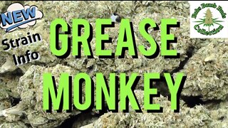 Grease Monkey