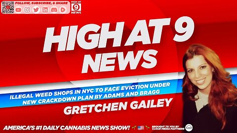 High At 9 News : Gretchen Gailey - Illegal weed shops in NYC to face eviction under new crackdown