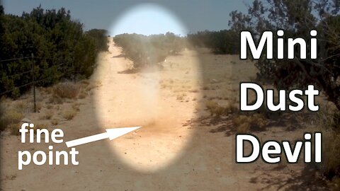 Itty Bitty Dust Devil: Miniature Fine Point Small Dust Devil Desert Forest of New Mexico