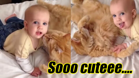 Baby play with cat