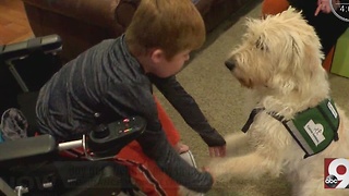 Cincinnati boy with Duchenne muscular dystrophy faces uncertainty with man's best friend at his side