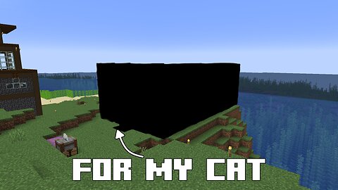 I Built A House For My Cat In Minecraft...