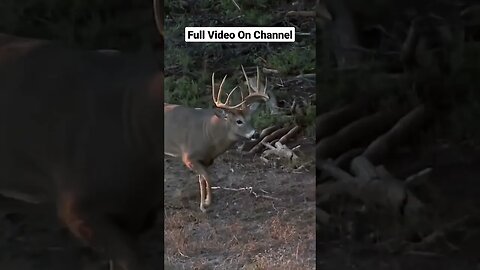 Best Camo For Deer Hunting