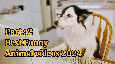 Part 2 - Best Funny Animal videos 2024