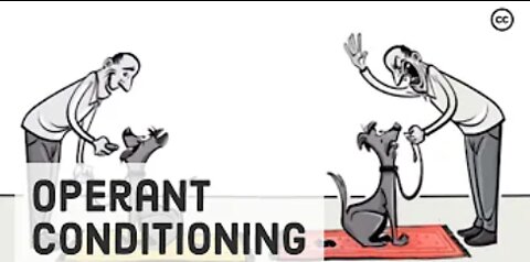 Skinner’s Operant Conditioning: Rewards & Punishments