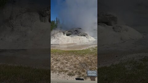 Grotto geyser in Yellowstone
