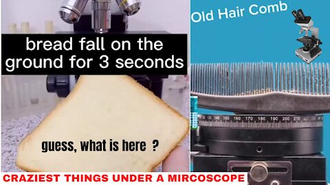 💥👩‍👩‍👦CRAZIEST THINGS UNDER A MIRCOSCOPE🎊🏄‍♀️🏇