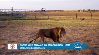 A Home That Dignifies Animals // Wild Animal Sanctuary