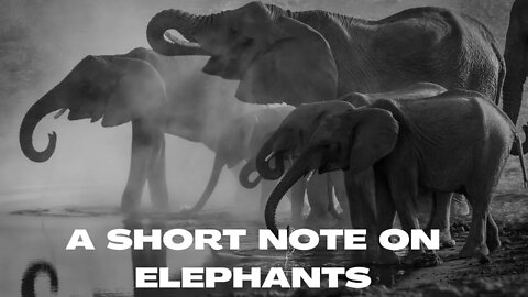 A SHORT NOTE ON ELEPHANTS