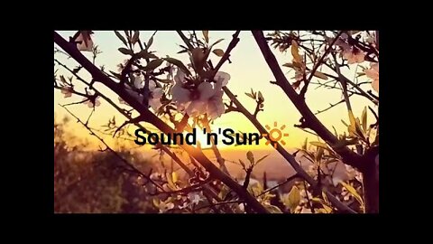 Sun 'n' Sound