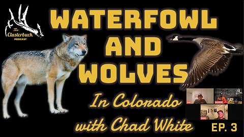 Wolves and Waterfowl. Public land duck/goose hunting strategies in Colorado.