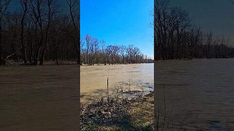 Maumee River near Side Cut Park