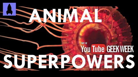 Check Out These Incredible Animals With Real Superpowers