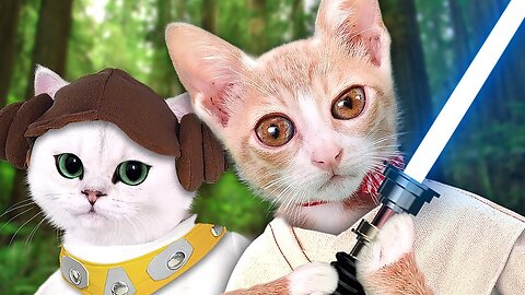 STAR CATS & PAW WARS