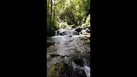 Title: A Riverside Symphony: Nature's Harmony Unveiled in the Tranquil Embrace of a River