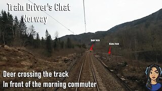 TRAIN DRIVER'S CHAT: Deer crossing the track and spring rain
