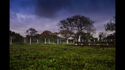 The rain in the field