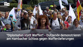 "Diplomaten statt Waffen" – Dutzende demonstrieren am Hambacher Schloss gegen Waffenlieferungen