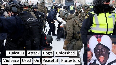 Police Use Unprecedented Violence To Remove Freedom Convoy Protestors.