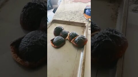 2nd try at toasting Marshmellos