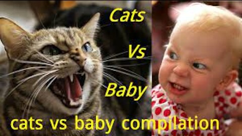 Cutest battles between babies and cats:Never End Game