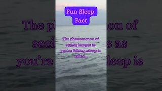 Beach Sleep Secret? 😴🏖️ | Surprising Fact Revealed! #shorts #sleeping @AmbientNoiseCo.