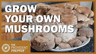Indoor Garden: How to Grow Mushrooms Inside Your Home