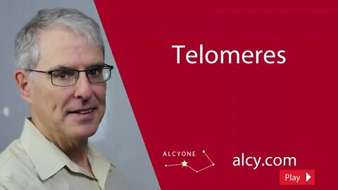 62 Telomeres