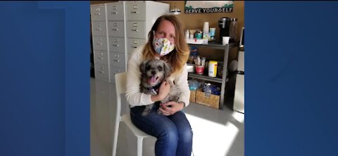 UPDATE: Bella, a dog whose owner died from COVID-19, got adopted