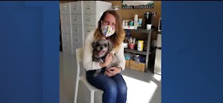 UPDATE: Bella, a dog whose owner died from COVID-19, got adopted
