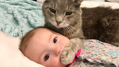 Baby and Cat Fun and Cute 18 Funny Baby Video