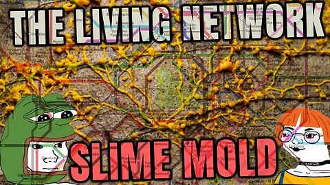 Researchers - Slime Mold is more intelligent then most think - Tokyo Rail System & Slime Mold