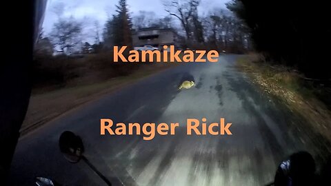 Day 128 of 365 day motorcycling goal. 20 miles near Landisville PA...and a racoon.