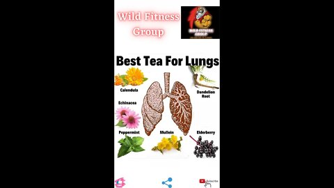 🔥Best tea for lungs🔥#fitness🔥#wildfitnessgroup🔥#shorts🔥