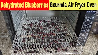 Dehydrated Blueberries, Gourmia Digital French Door Air Fryer Oven