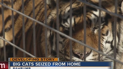 Exotic animals seized from Pahrump home