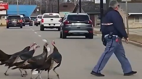 Turkeys vs. mailman: Hilarious moment feathery friends follow postman 📬 🦃