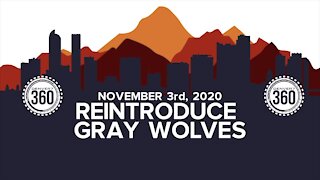 Proposition 114: Colorado voters to decide whether to reintroduce and manage gray wolves