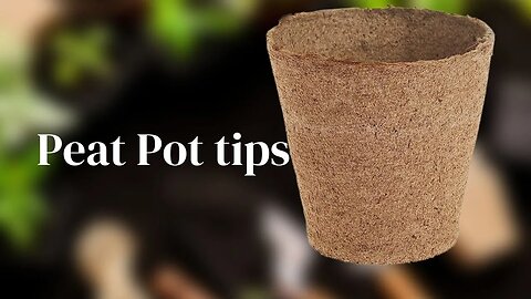 Peat Pot tips avoiding ROOTBOUND plants